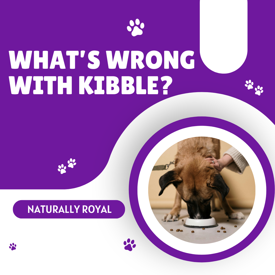 What's Wrong with Kibble? Naturally Royal