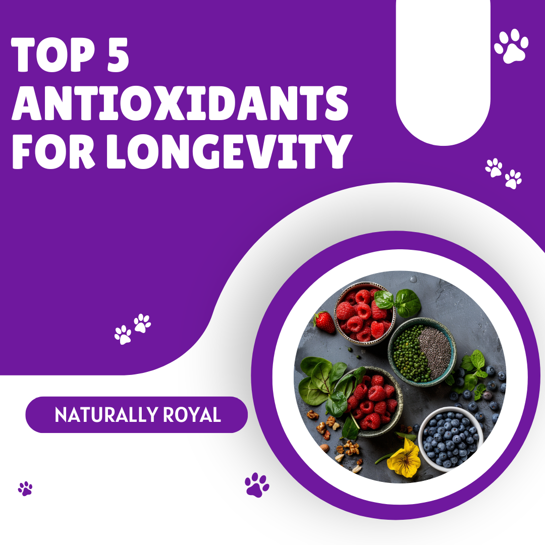 Photo inspiration: Longevity Antioxidant Supplements Reference: Top 5 Antioxidants For Longevity