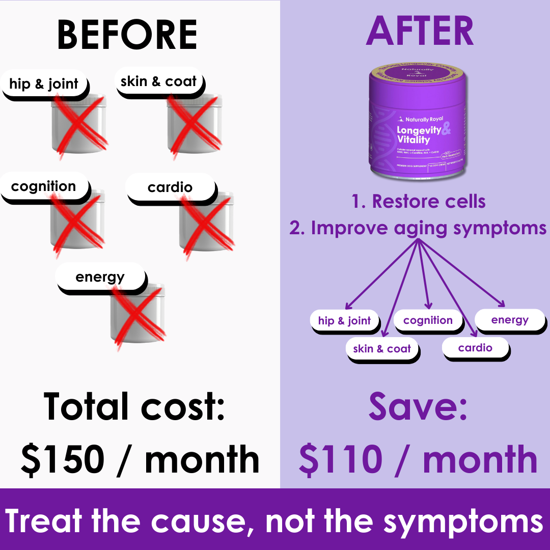 Longevity & Vitality Dog Chews