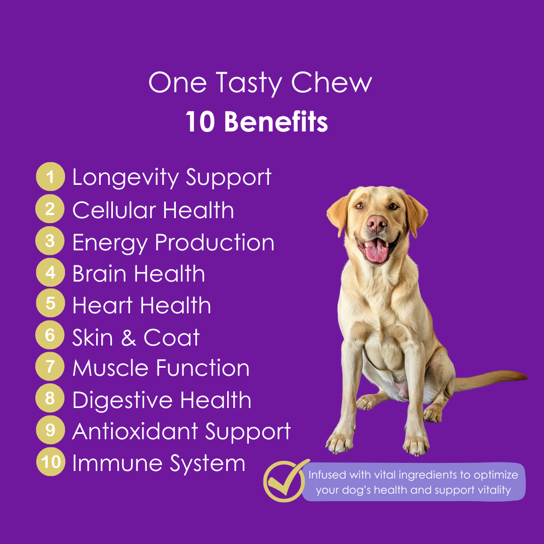 Longevity & Vitality Dog Chews