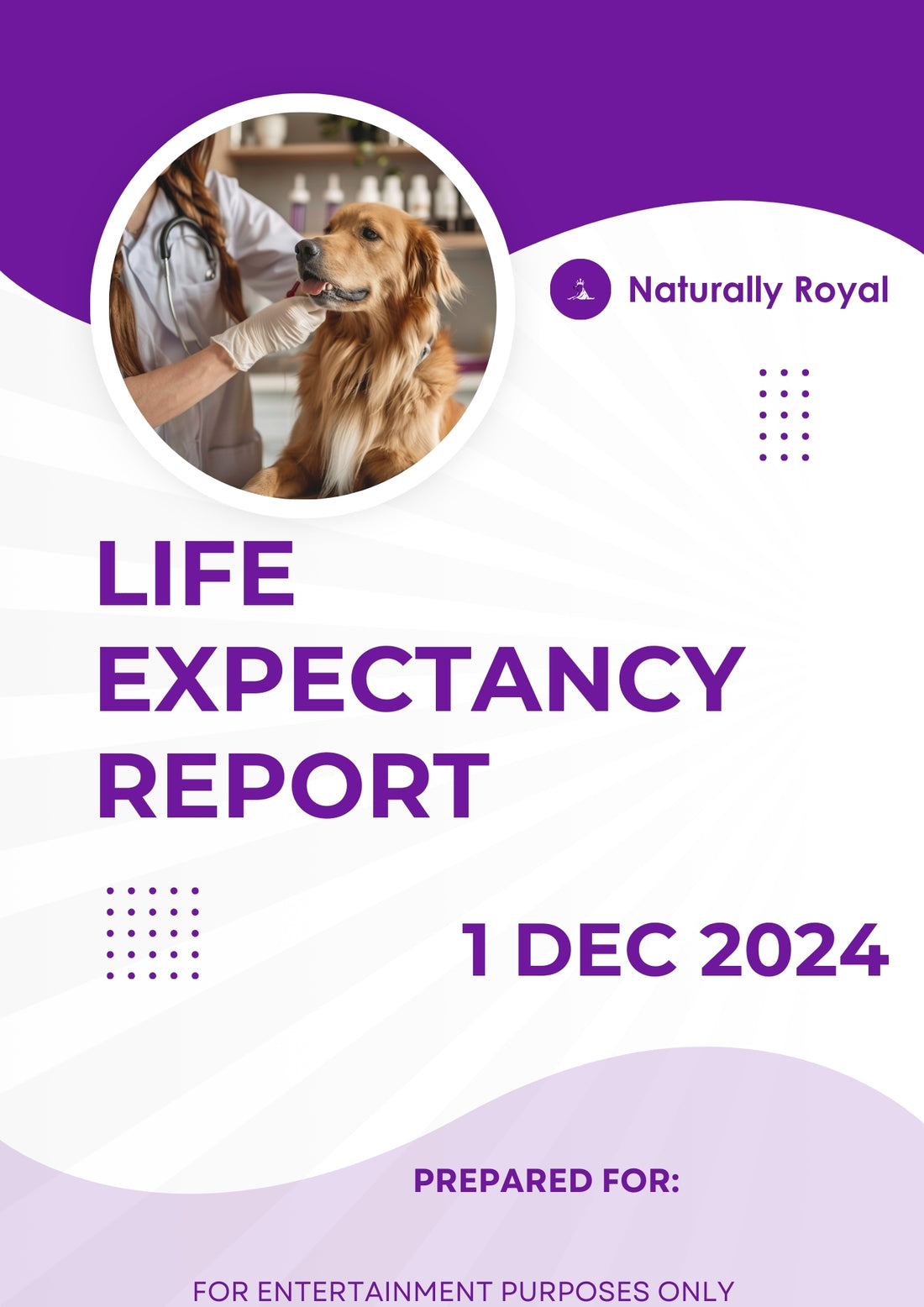 Life Expectancy Report