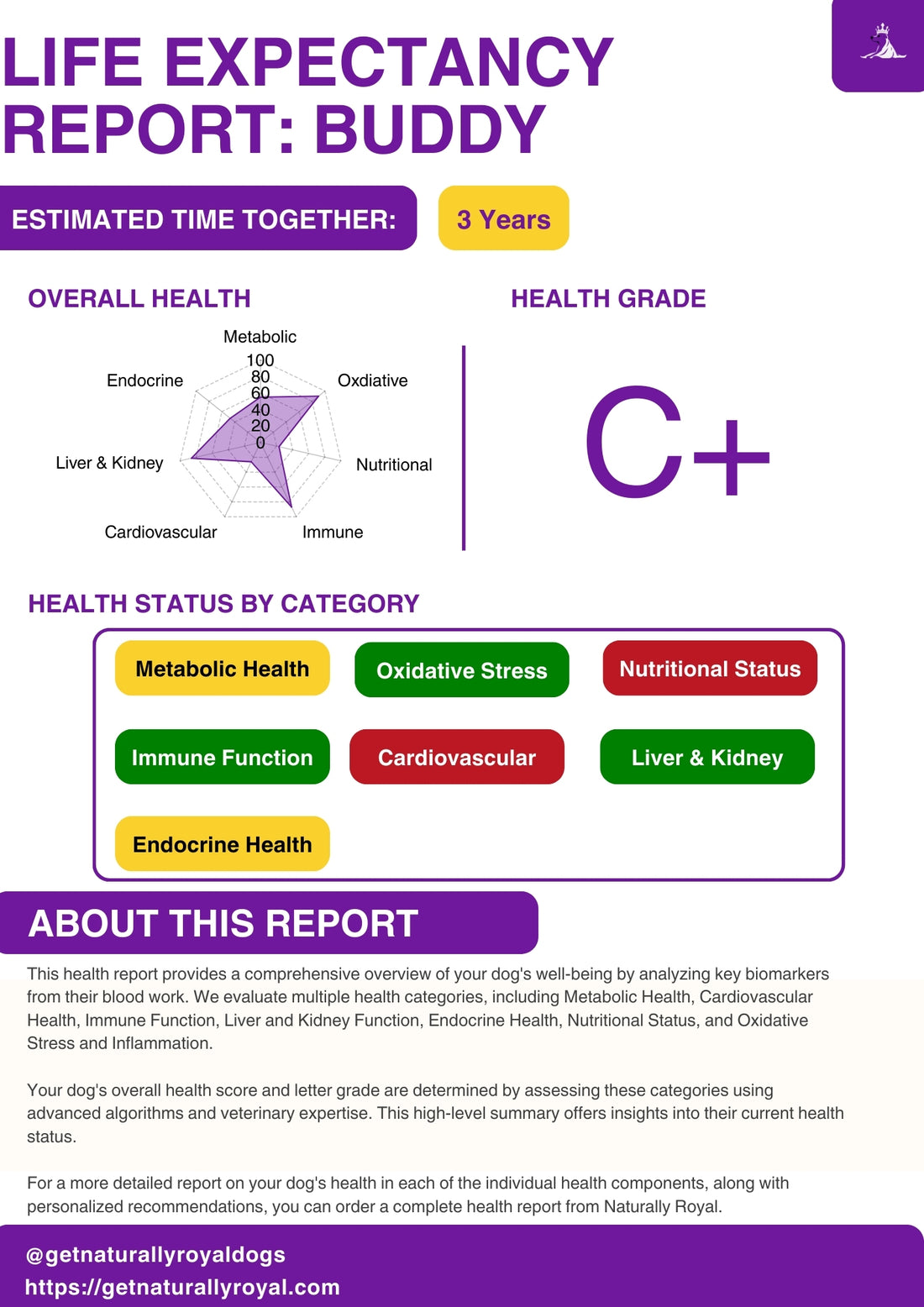 Life Expectancy Report