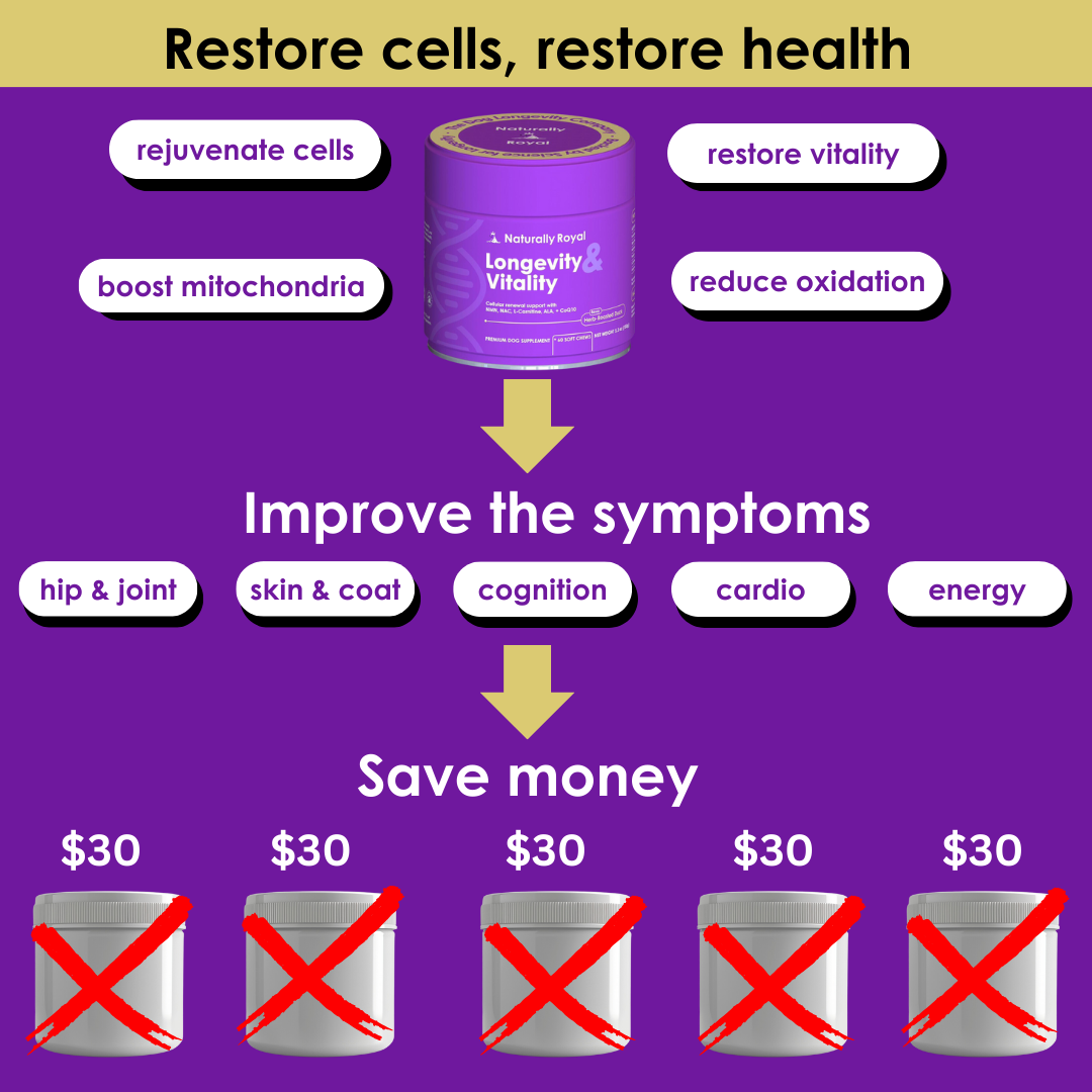 Longevity & Vitality Dog Chews