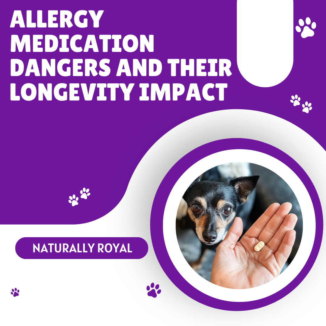 Allergy Medication Dangers and Their Longevity Impact