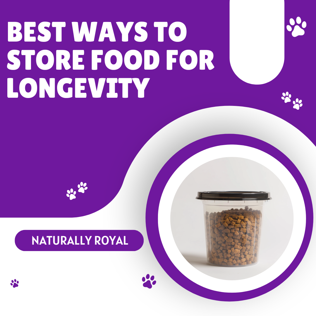 Best Ways to Store Food for Longevity