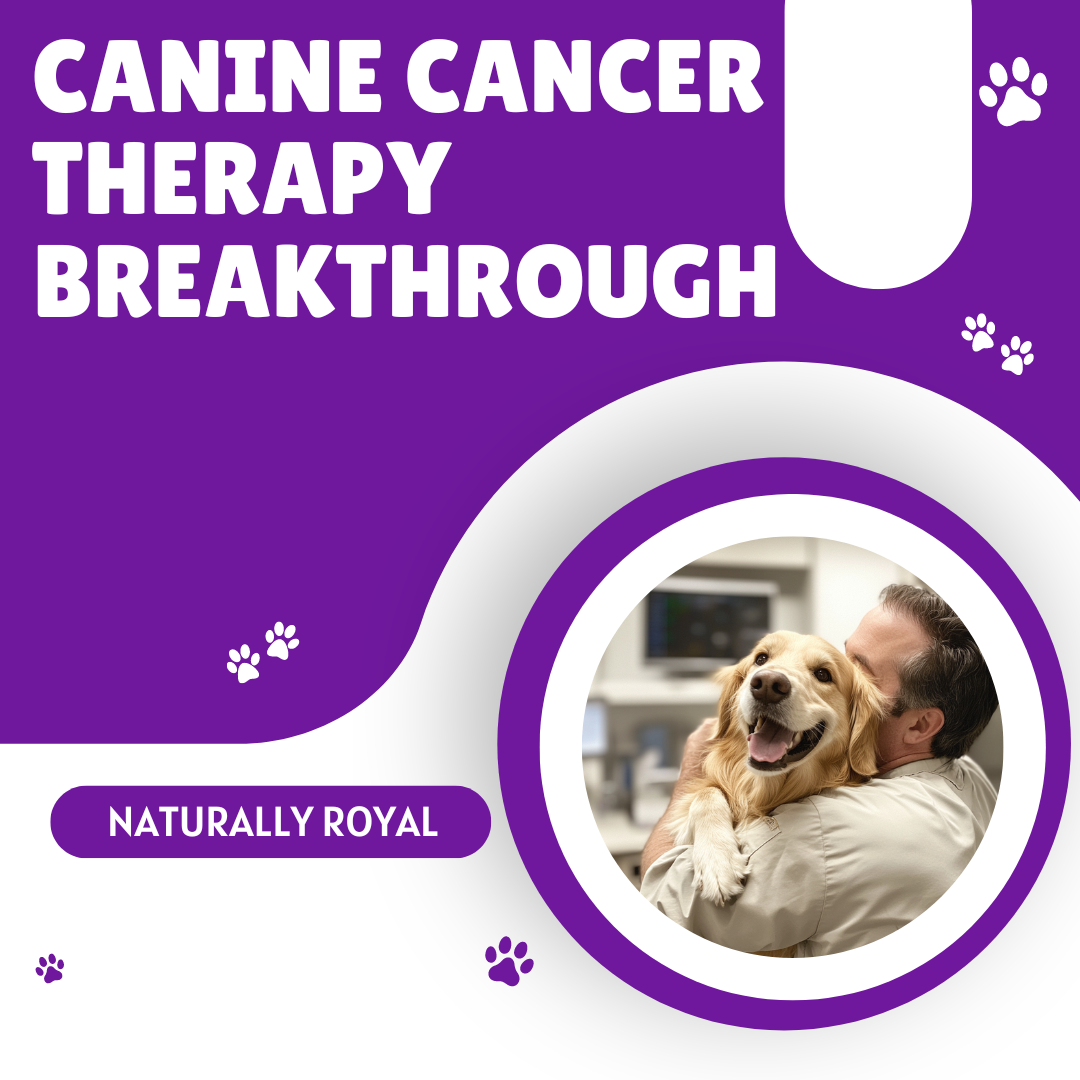 Canine Cancer Therapy Breakthrough