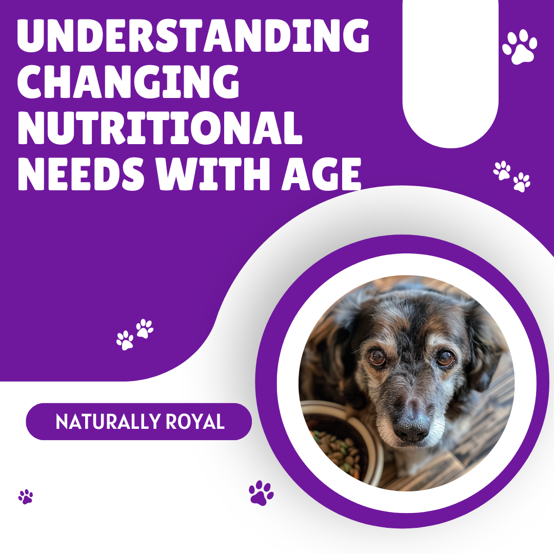 Understanding Changing Nutritional Needs with Age