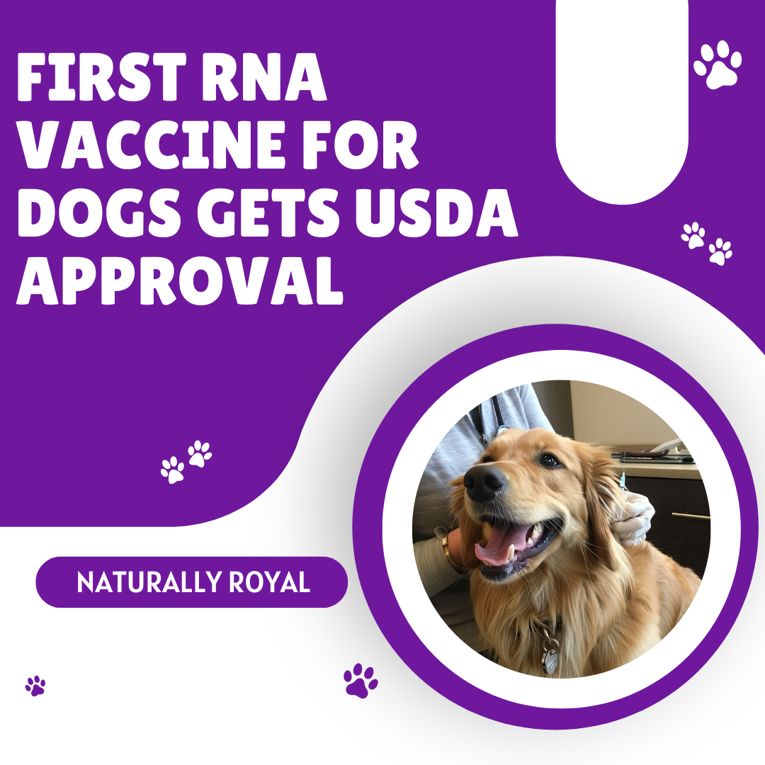 First RNA Vaccine for Dogs Gets USDA Approval