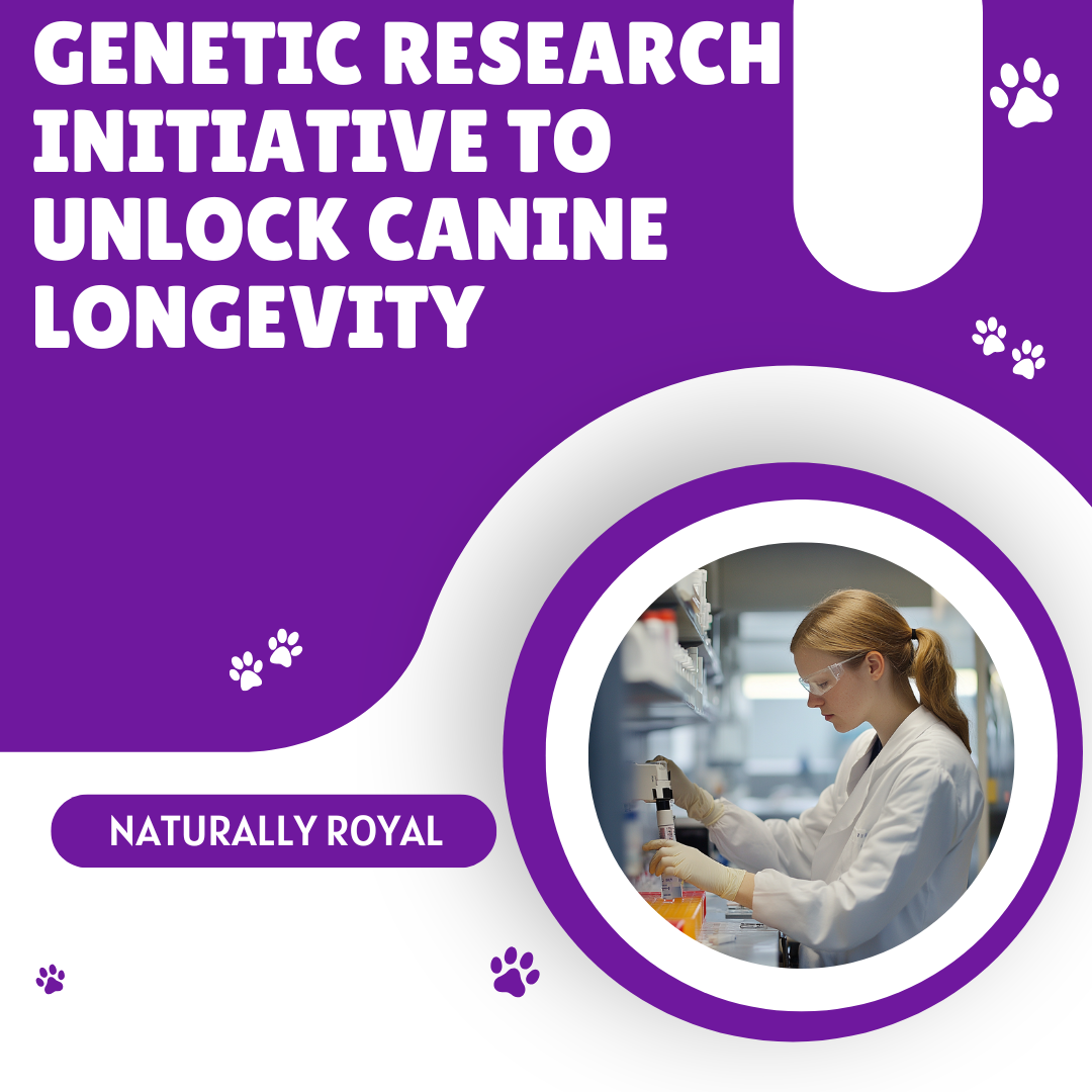 Genetic Research Initiative to Unlock Canine Longevity