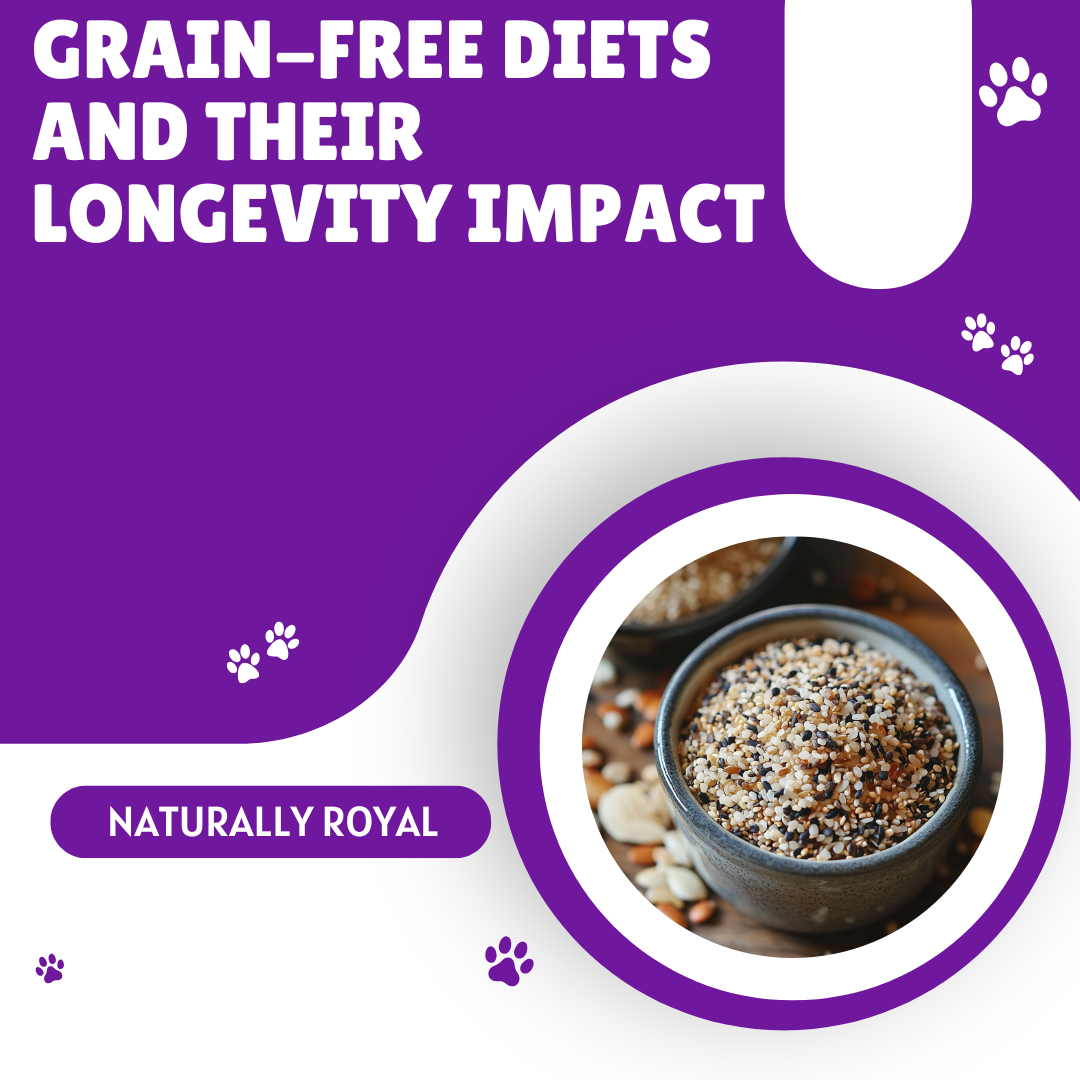 Grain-Free Diets and Their Longevity Impact