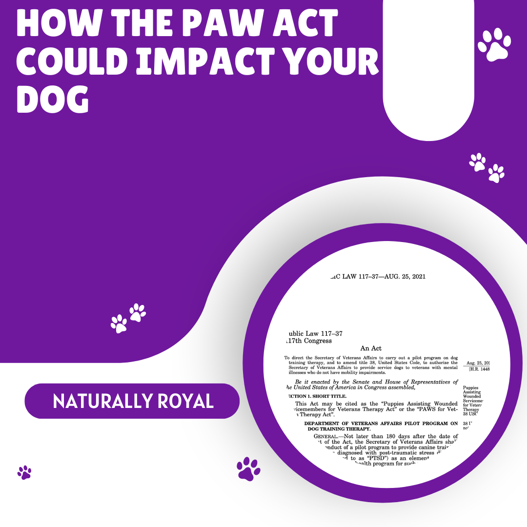 How the PAW Act Could Impact Your Dog