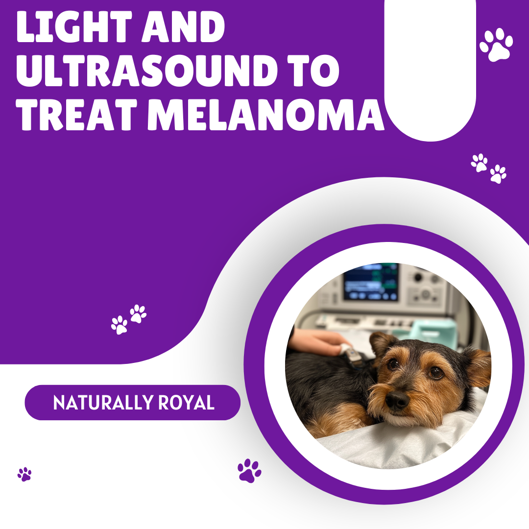 Light and Ultrasound to Treat Melanoma