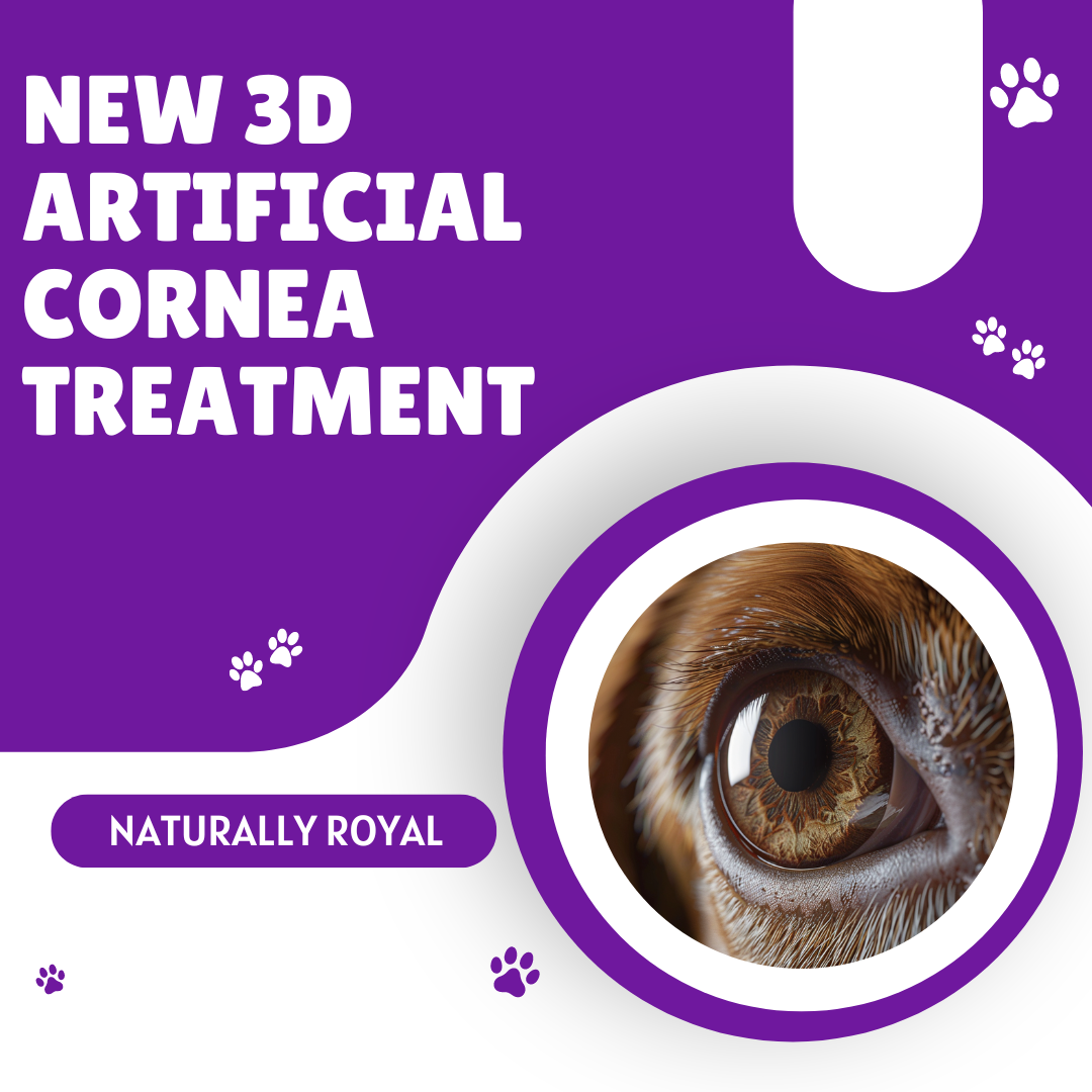 New 3D Artificial Cornea Treatment