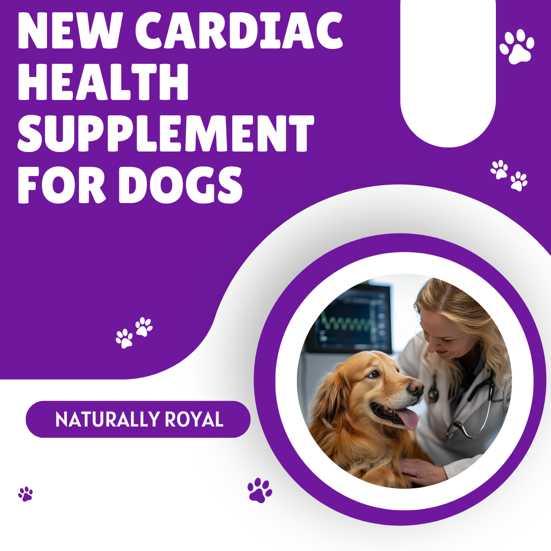 New Cardiac Health Supplement for Dogs