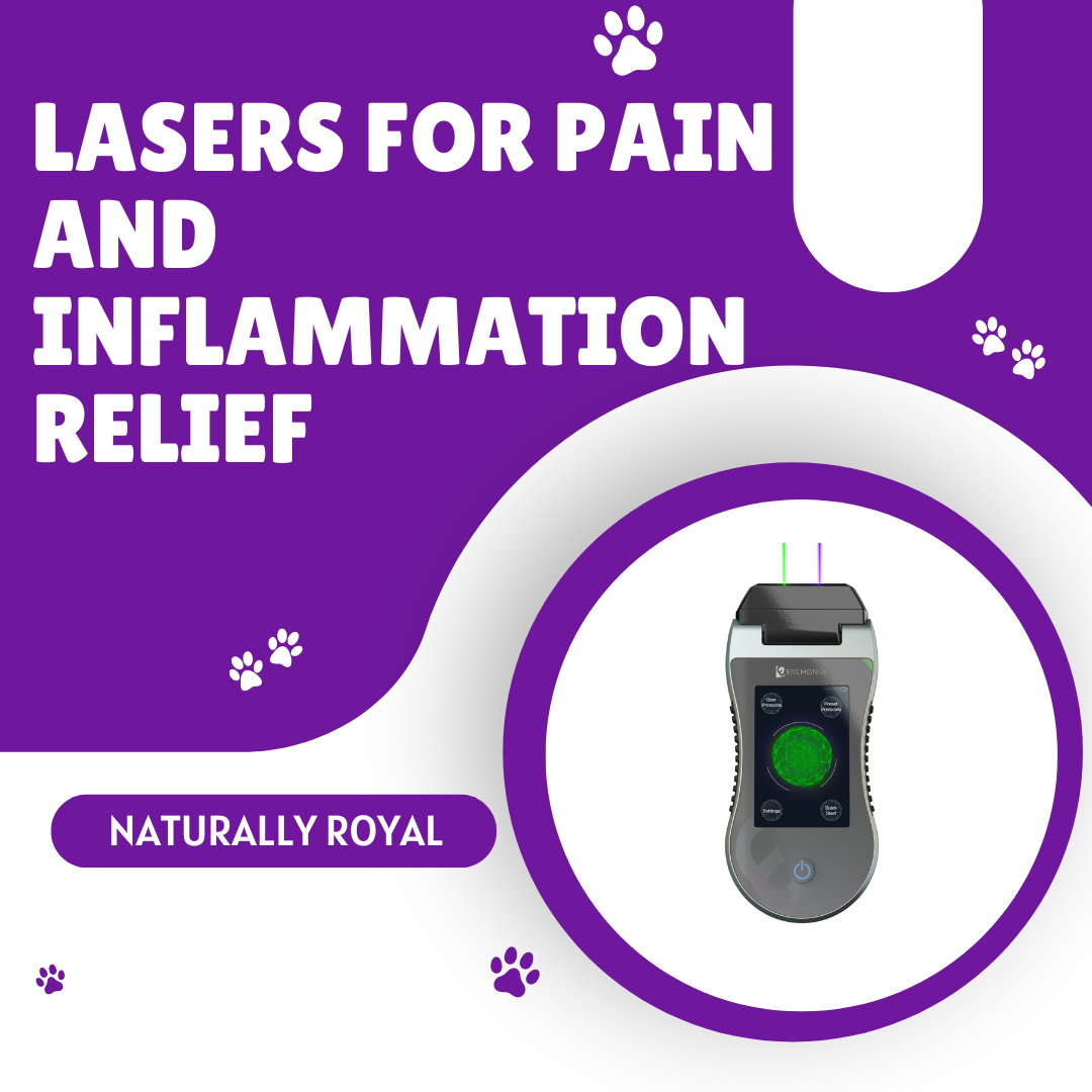 Lasers for Pain and Inflammation Relief