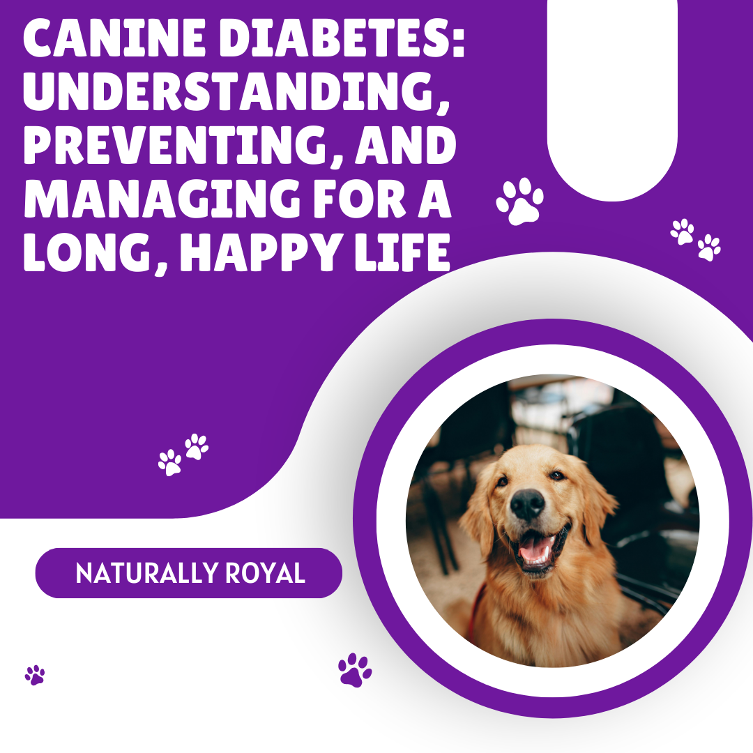 Canine Diabetes: Understanding, Preventing, and Managing for a Long, Happy Life