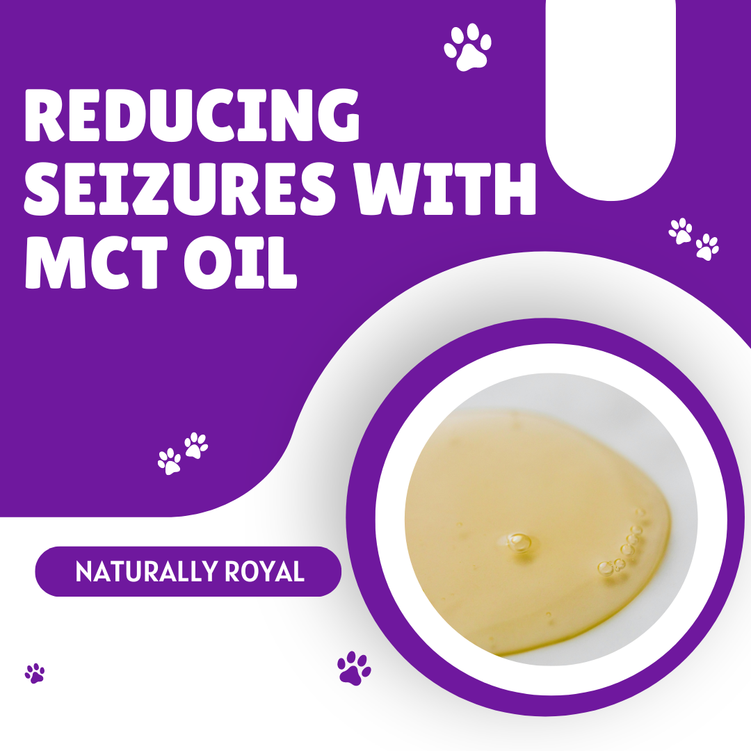 Reducing Seizures with MCT Oil