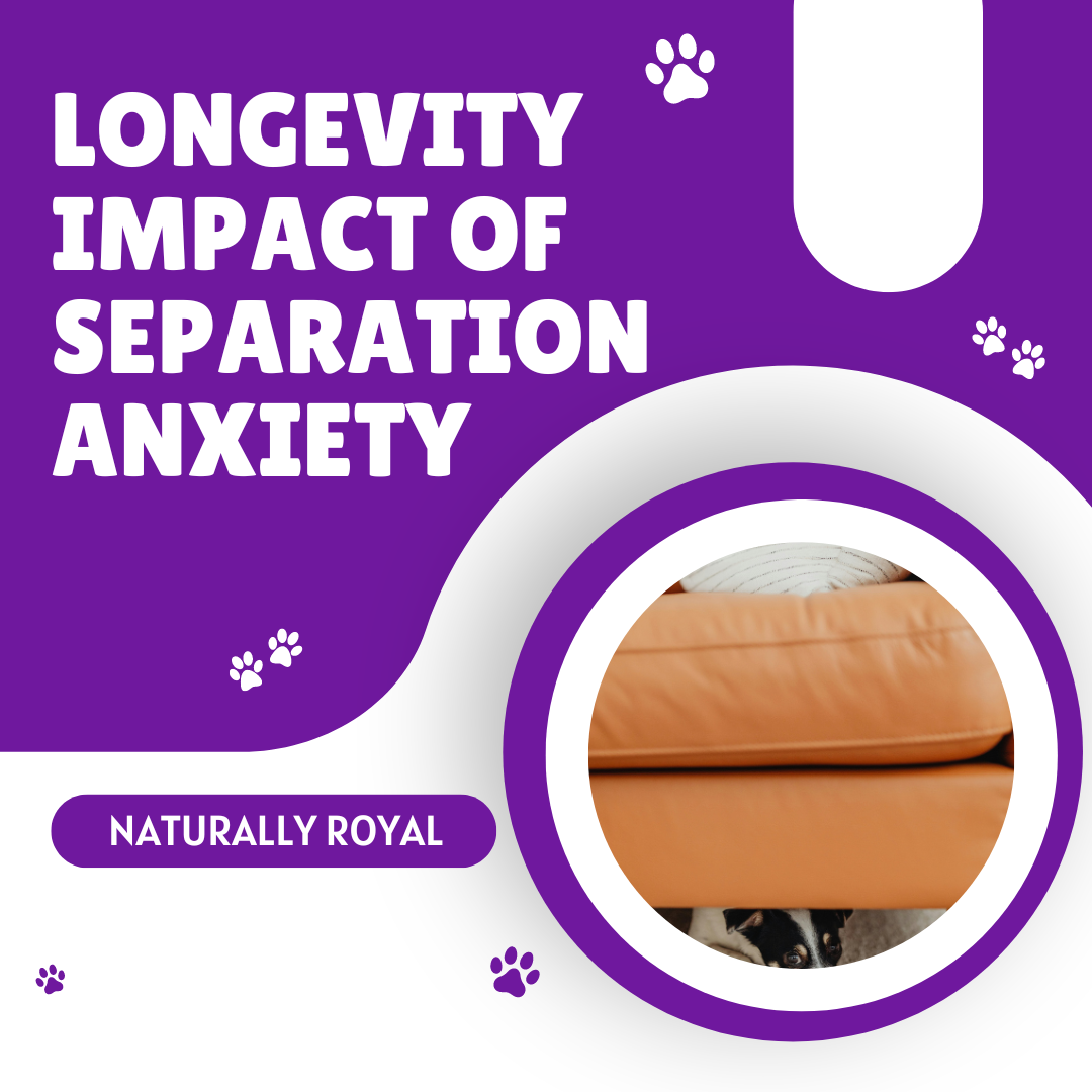 Longevity Impact of Separation Anxiety