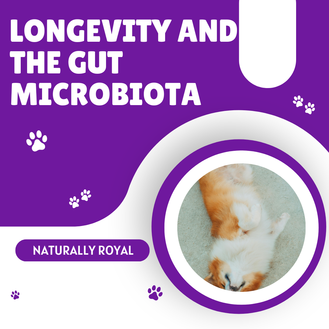 Longevity and the Gut Microbiota