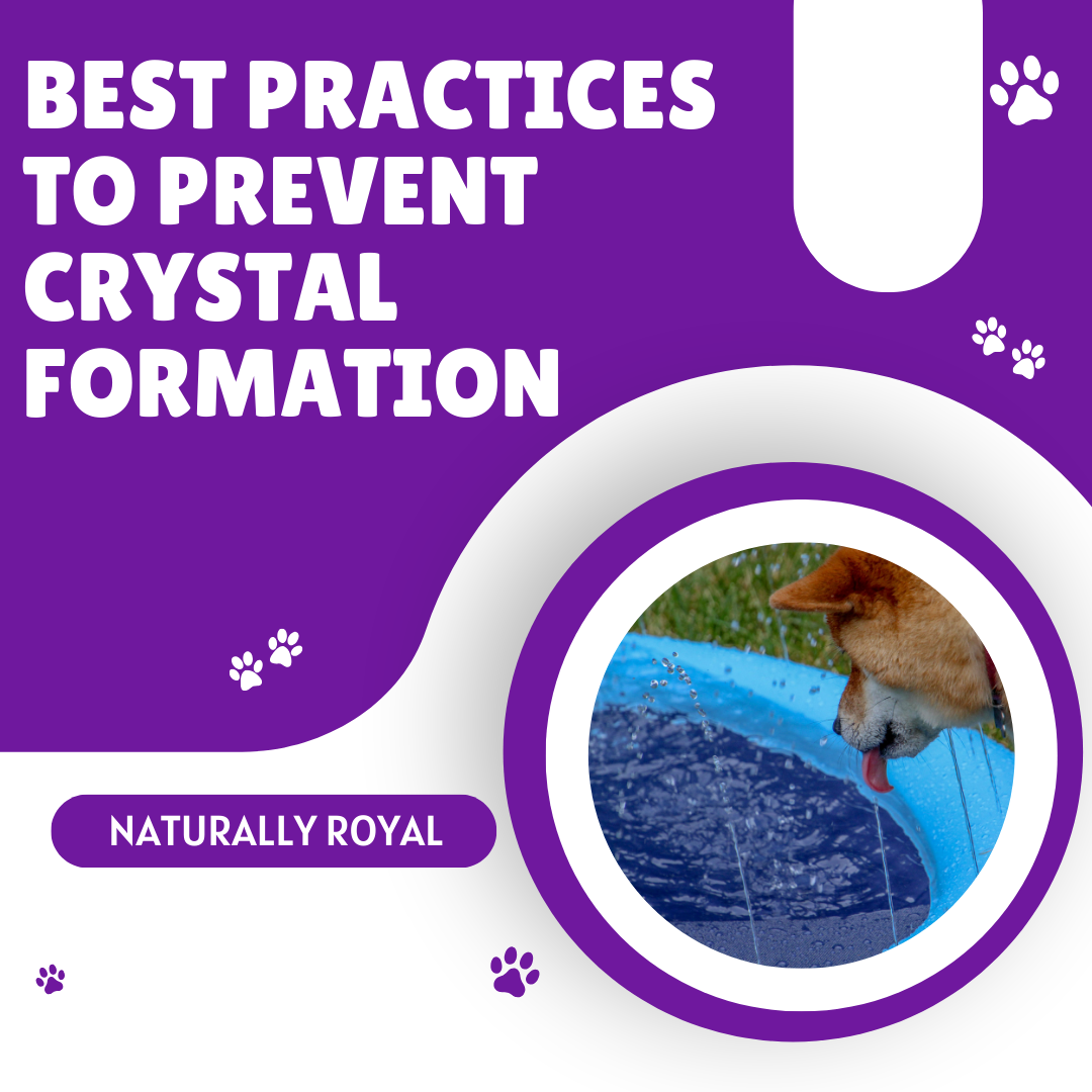 Best Practices to Prevent Crystal Formation