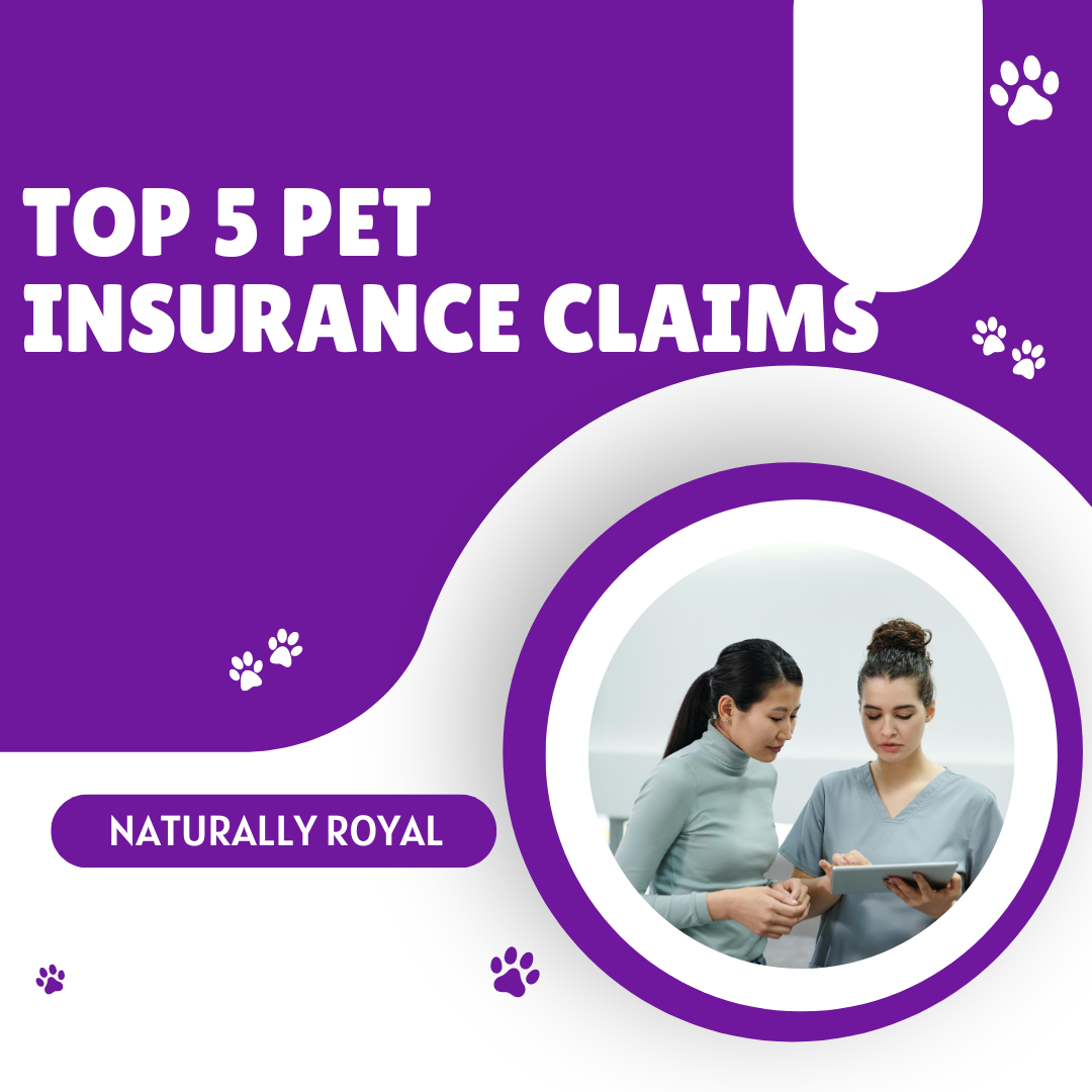 Top 5 Pet Insurance Claims