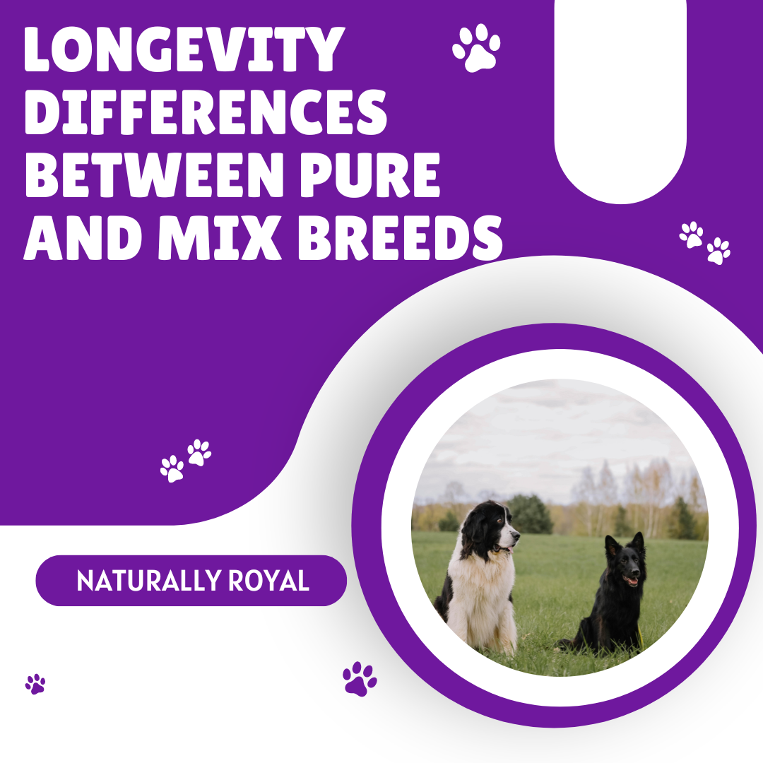 Longevity Differences Between Pure and Mix Breeds