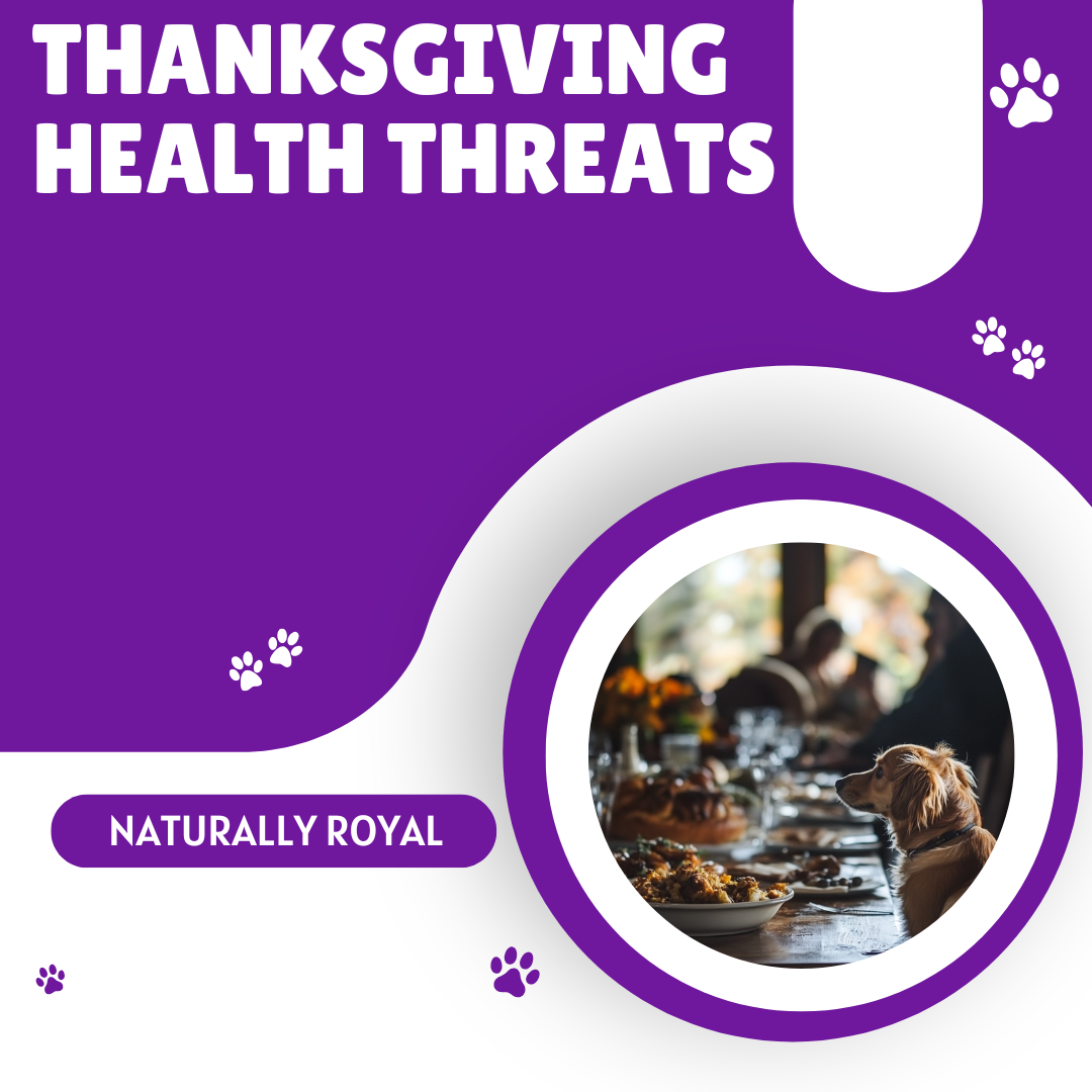 Thanksgiving Health Threats