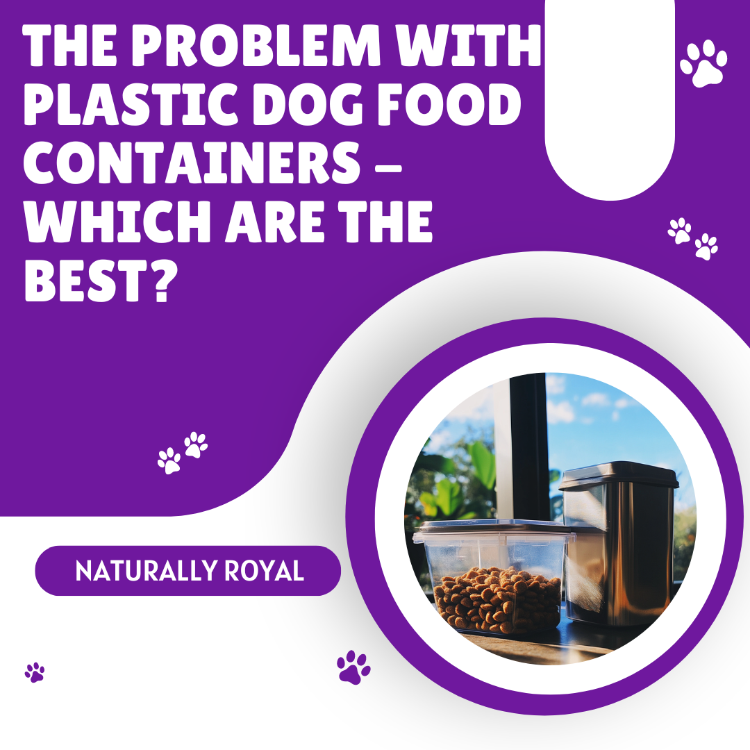 The Problem with Plastic Dog Food Containers - Which Are the Best?