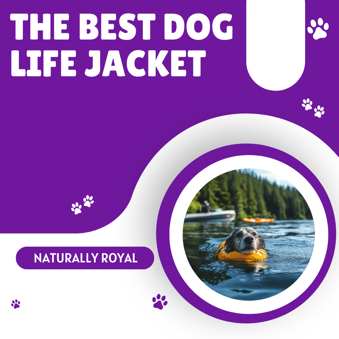 The Best Dog Life Jacket