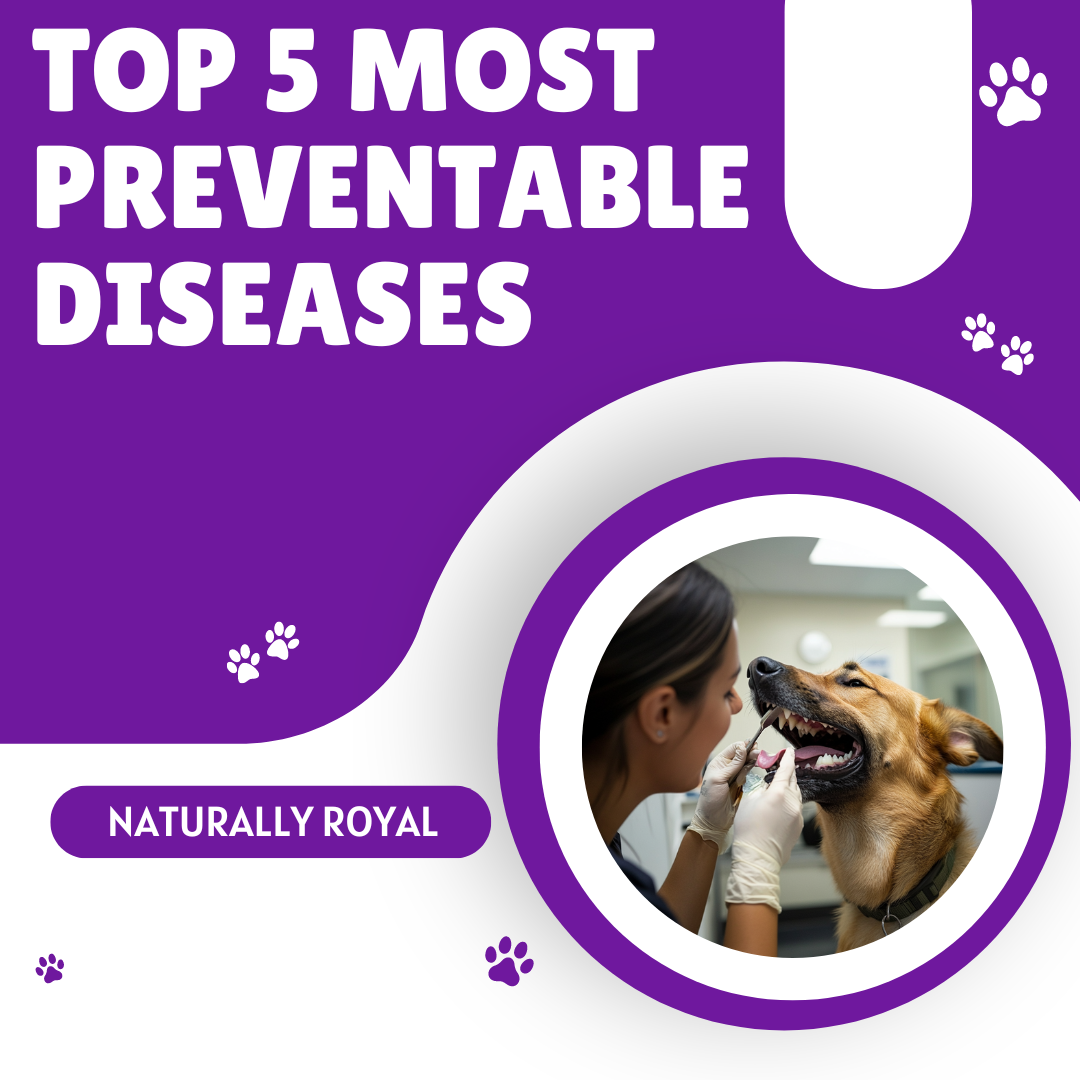 Top 5 Most Preventable Diseases